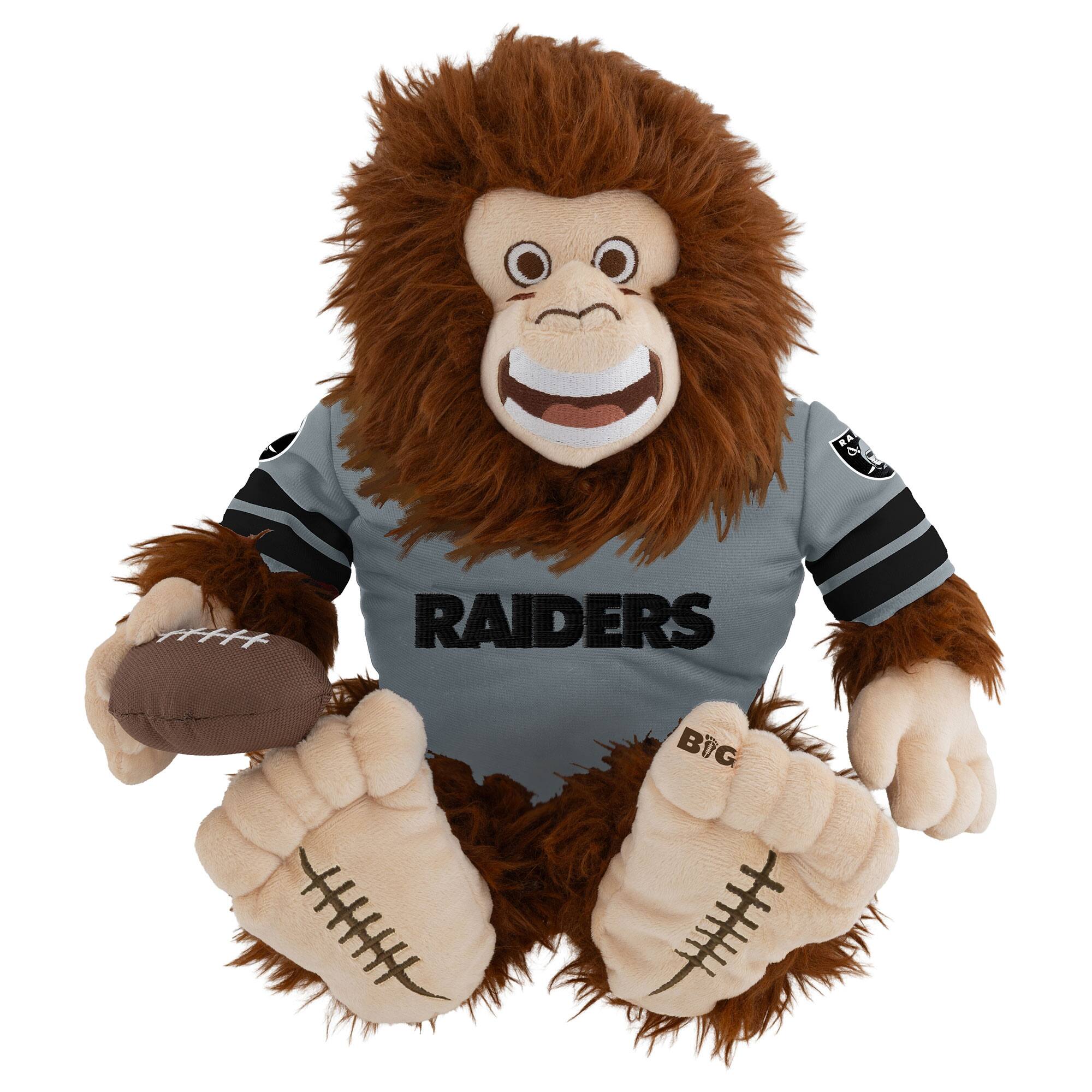 28 RAIDERS  
BIG