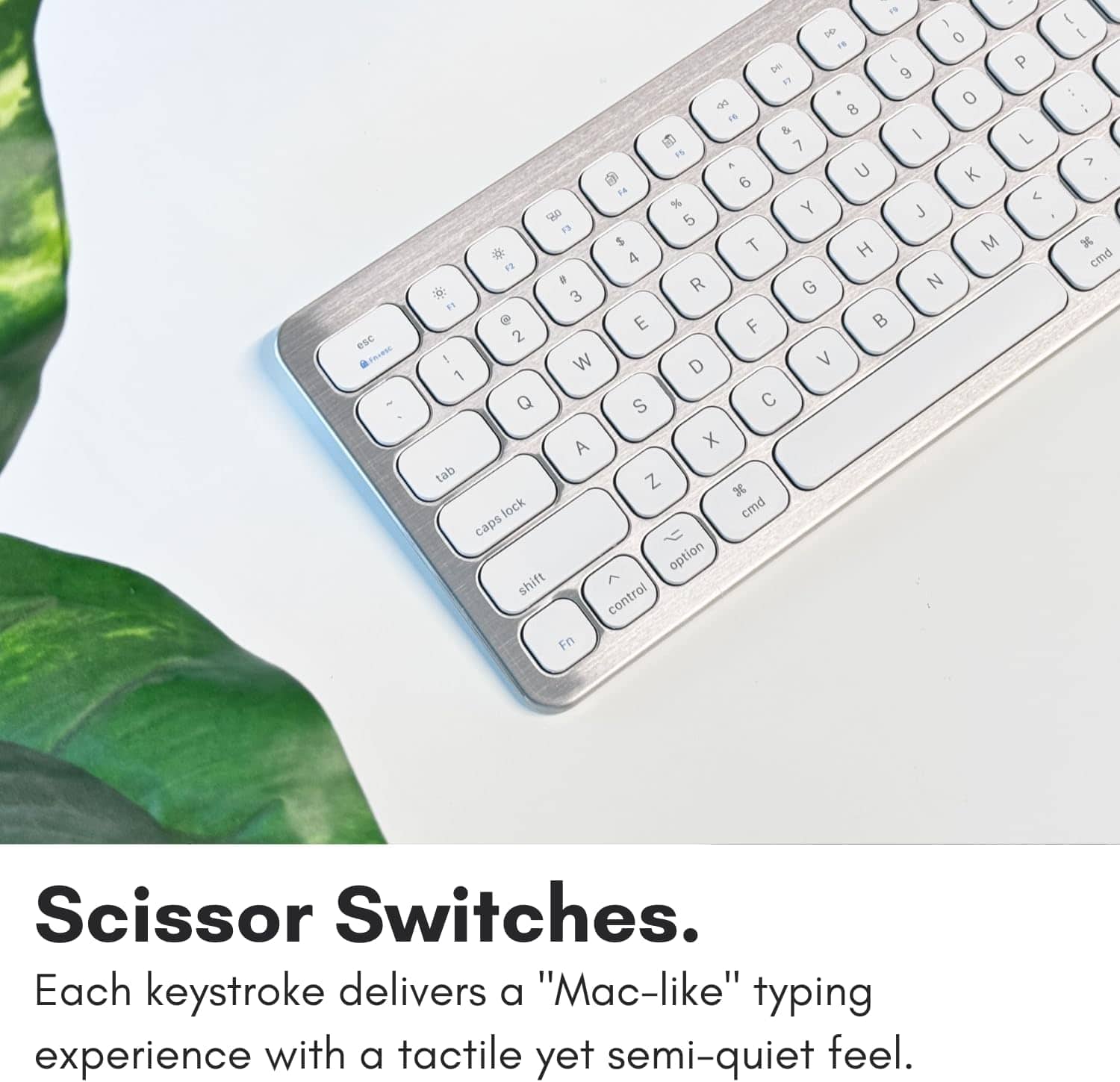 Macally Wired Keyboard for Mac with USB Ports for Mouse Compatible