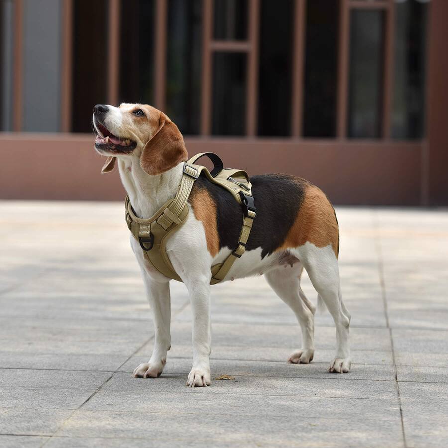 PET MARVEL High Perfomance Tactical Dog Harness with Poop Bag