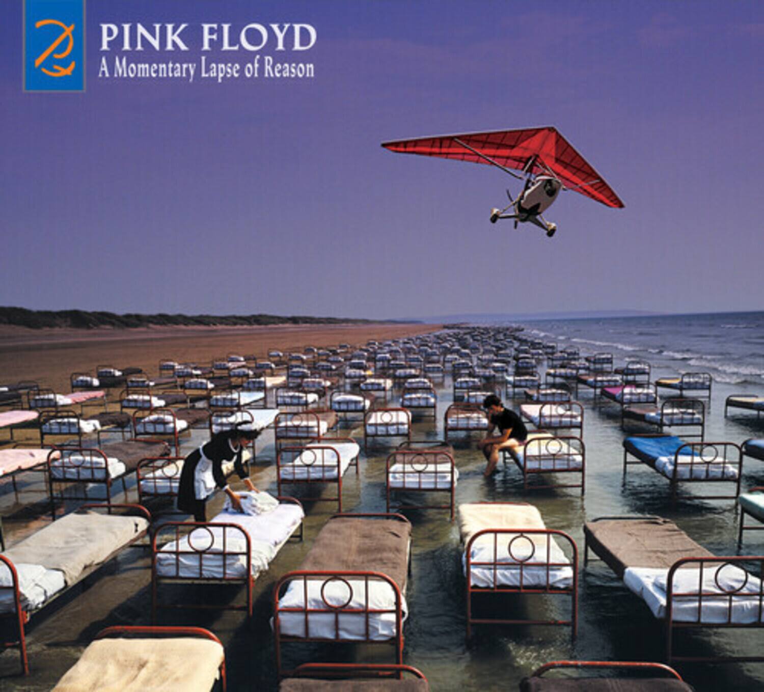 PINK FLOYD  
A Momentary Lapse of Reason