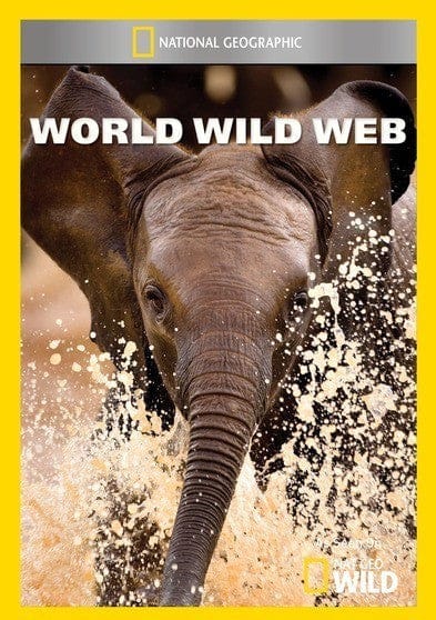 World Wild Web - DVD