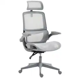 Homcom - Office Chair with Adaptive Lumbar Support, Reclining Mesh Desk Chair with 2D Headrest - Gray