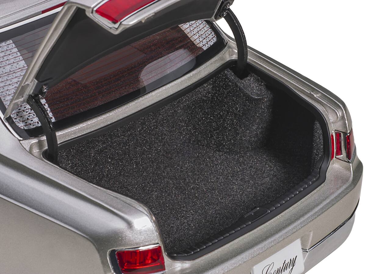 The text on the image reads: "Century"