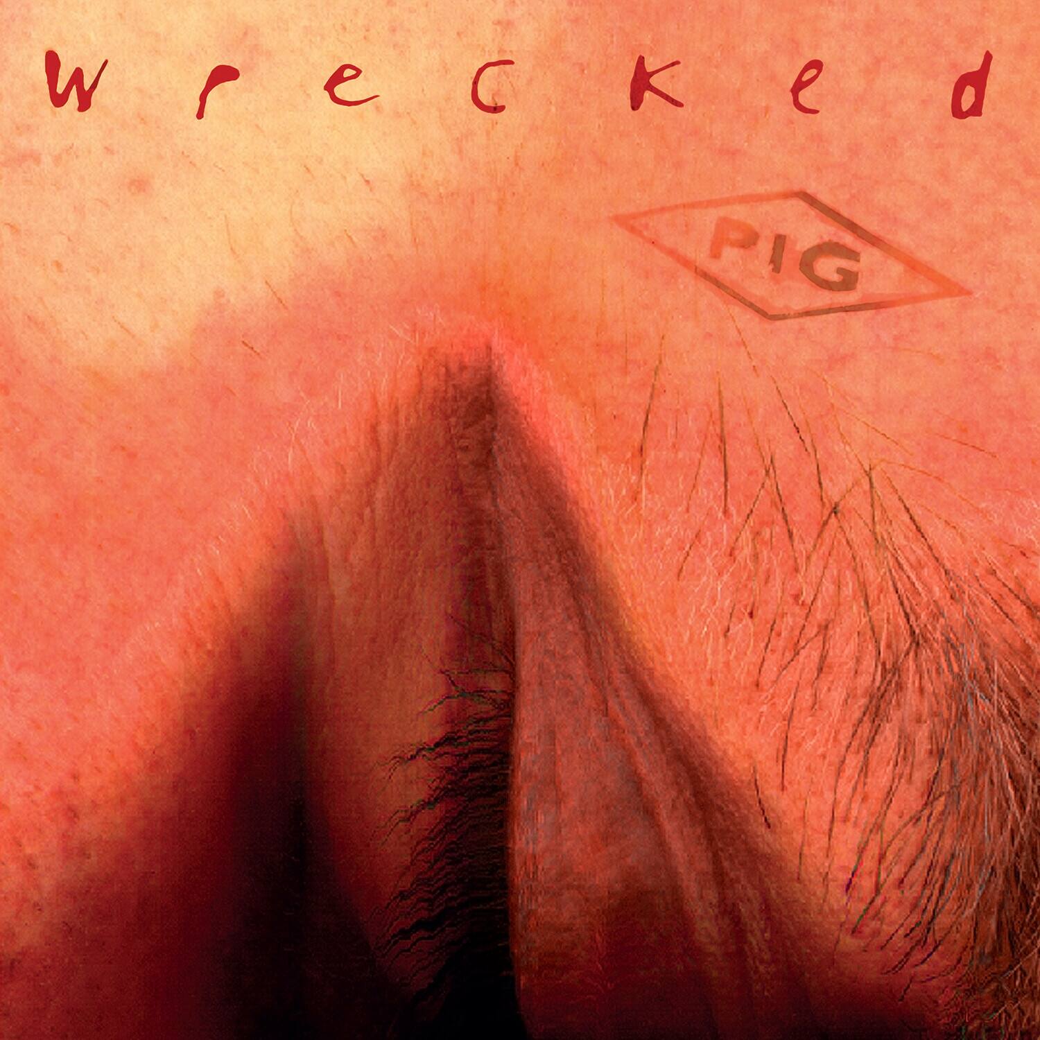 The Pig - Wrecked   - COMPACT DISCS [CD]