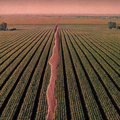 Front. Possible Humans - Everybody Split   - COMPACT DISCS.