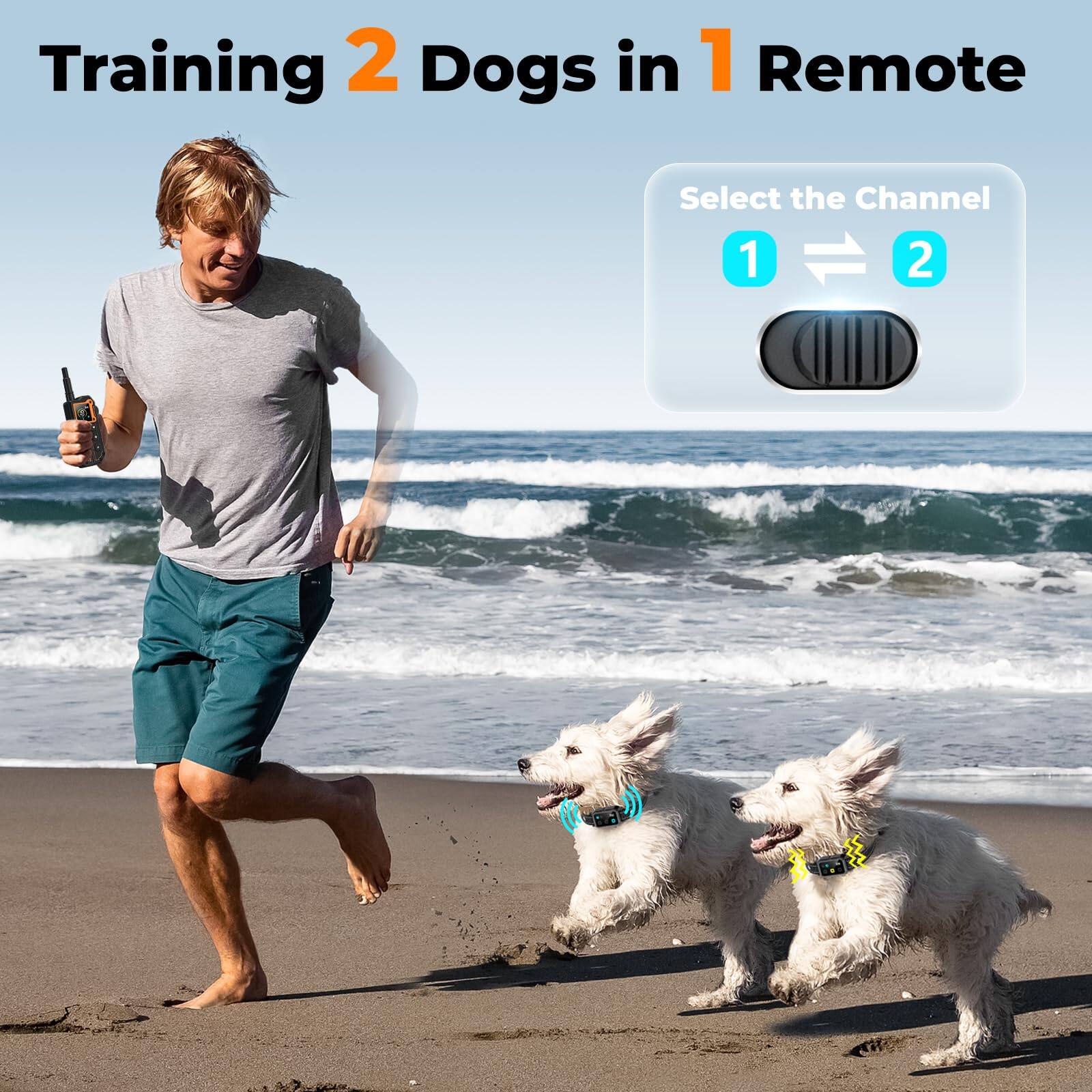 Training 2 Dogs in 1 Remote  
Select the Channel  
1 ↔ 2