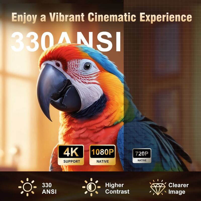 Enjoy a Vibrant Cinematic Experience

330 ANSI

4K SUPPORT  
1080P NATIVE  
720P NATIVE

Higher Contrast  
Clearer Image