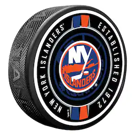 Mustang Drinkware - New York Islanders Ribbon Hockey Puck - Multicolor