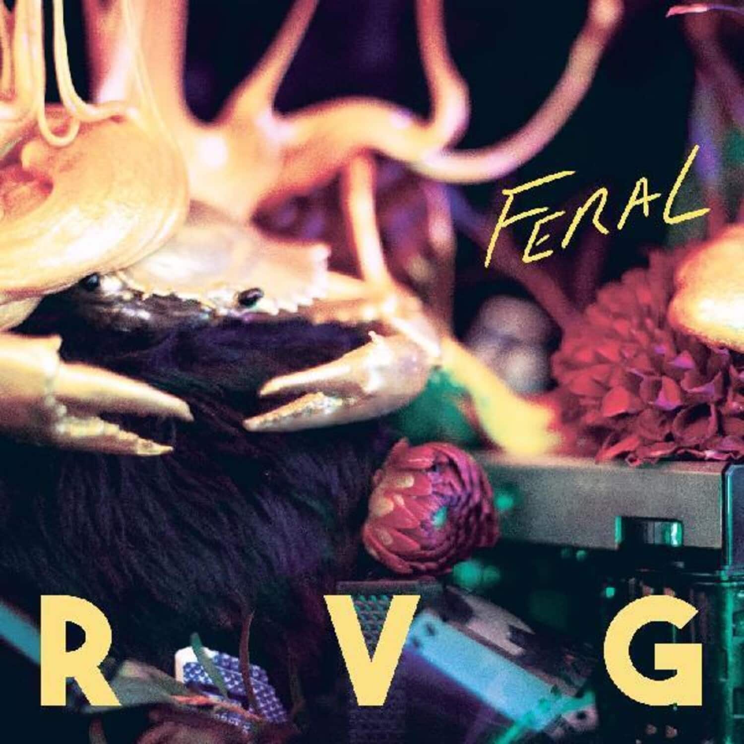 RVG - Feral   - COMPACT DISCS [CD] price history on PriceWatchPro