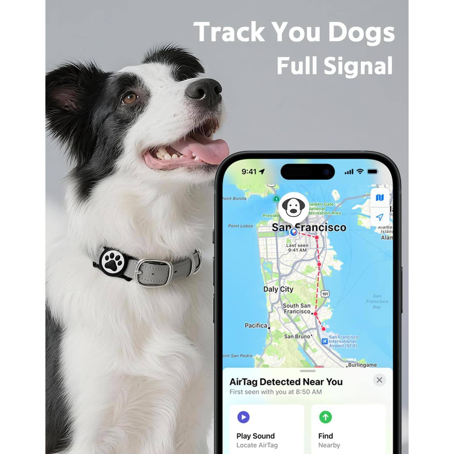 Track Your Dogs Full Signal

9:41

AirTag Detected Near You
First seen with you at 8:50 AM

Play Sound
Locate AirTag
Find Nearby