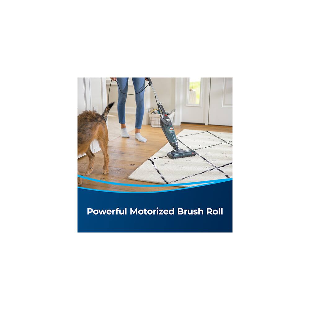 Powerful Motorized Brush Roll