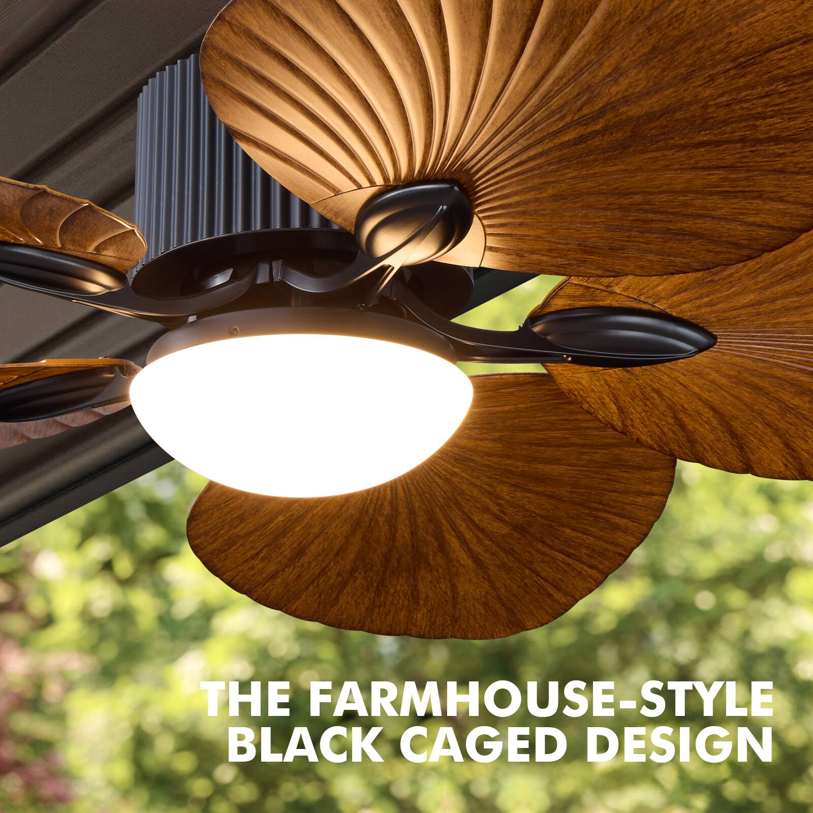 THE FARMHOUSE-STYLE BLACK CAGED DESIGN