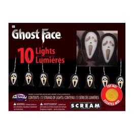 Funworld - Glowing Ghost Face String Lights | 5.9 Foot String w/ 10 LED Lights - Black