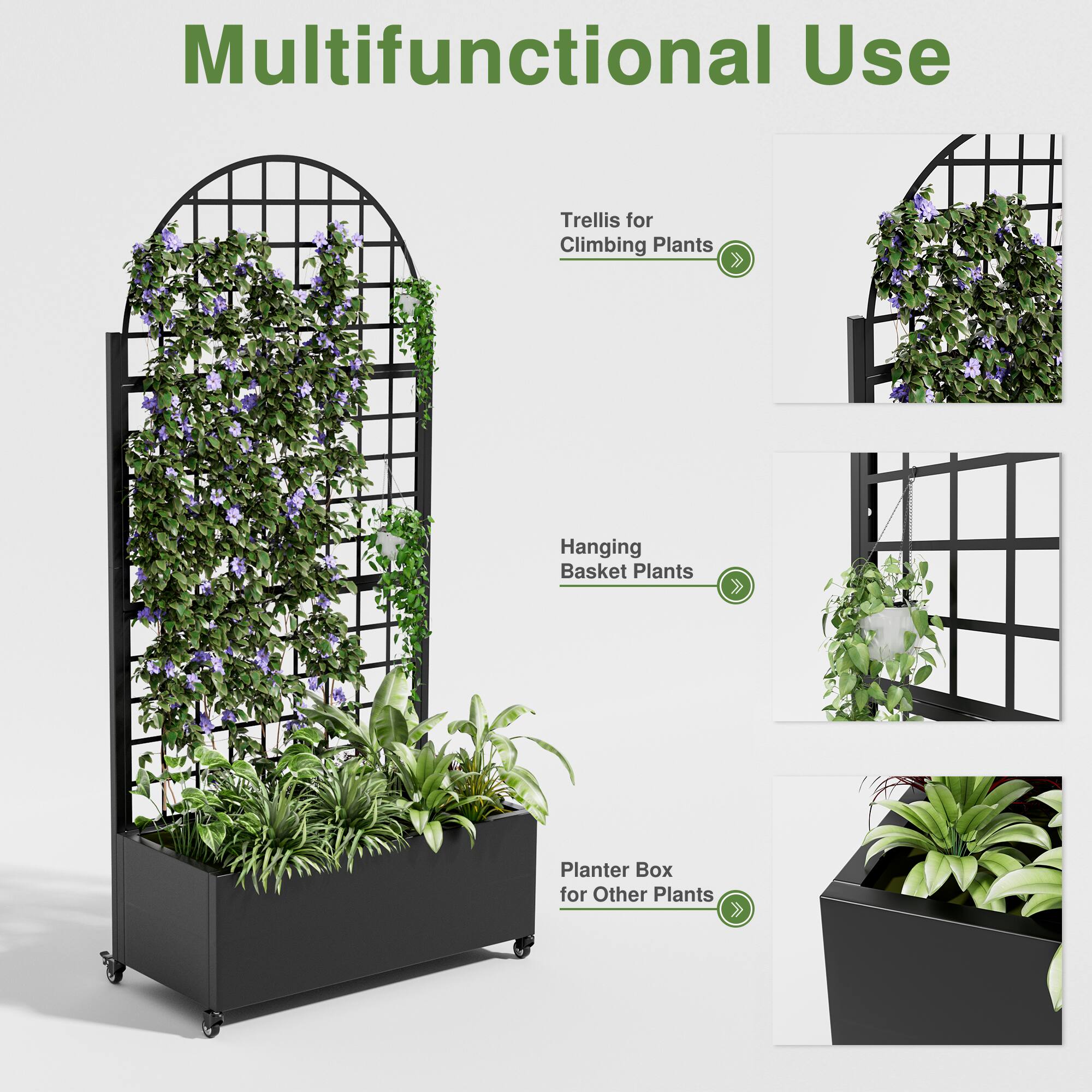 Multifunctional Use

- Trellis for Climbing Plants
- Hanging Basket Plants
- Planter Box for Other Plants