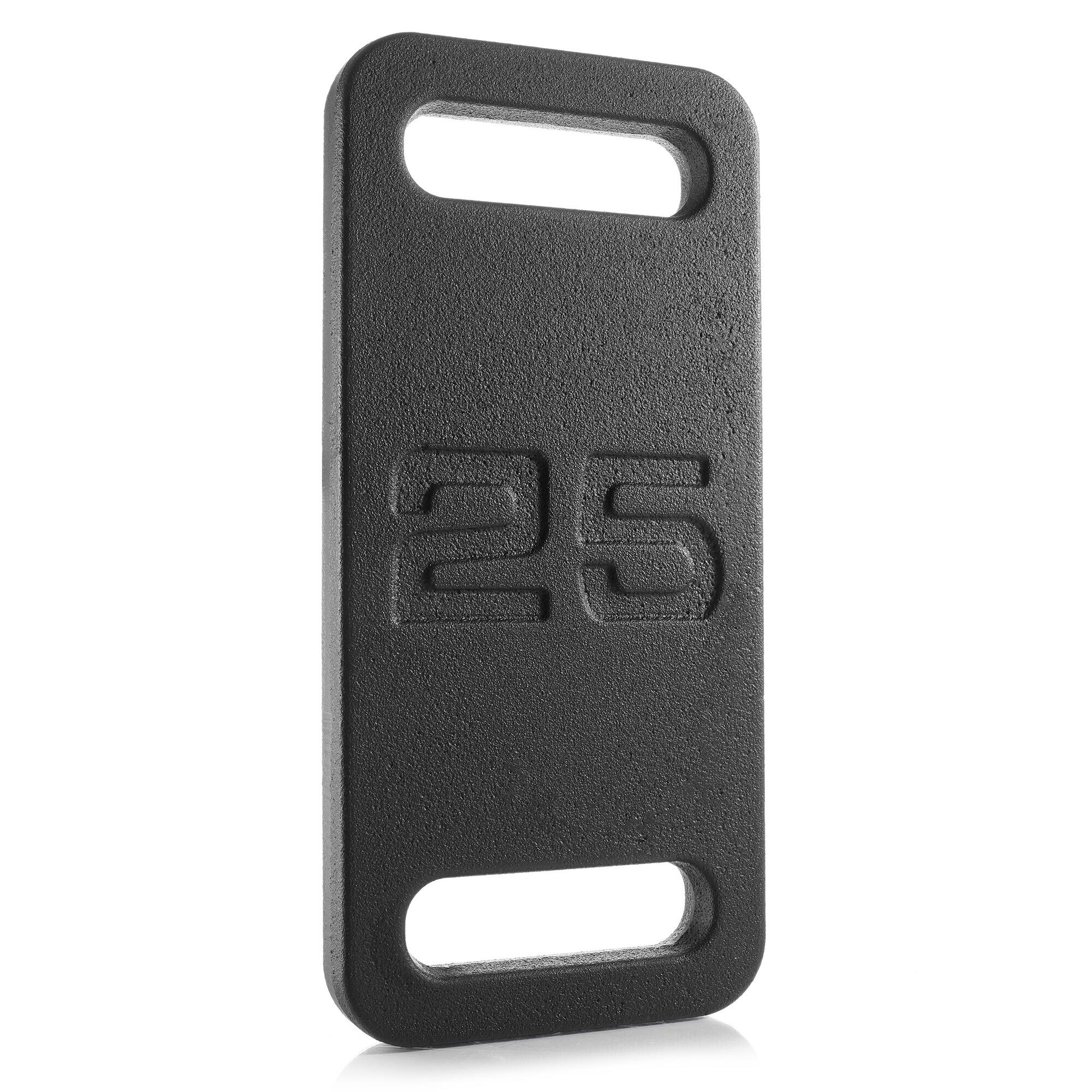 Philosophy Gym - Ruck Weight - Weighted Fitness Plate with Handle - 10-45 lbs - Cast Iron