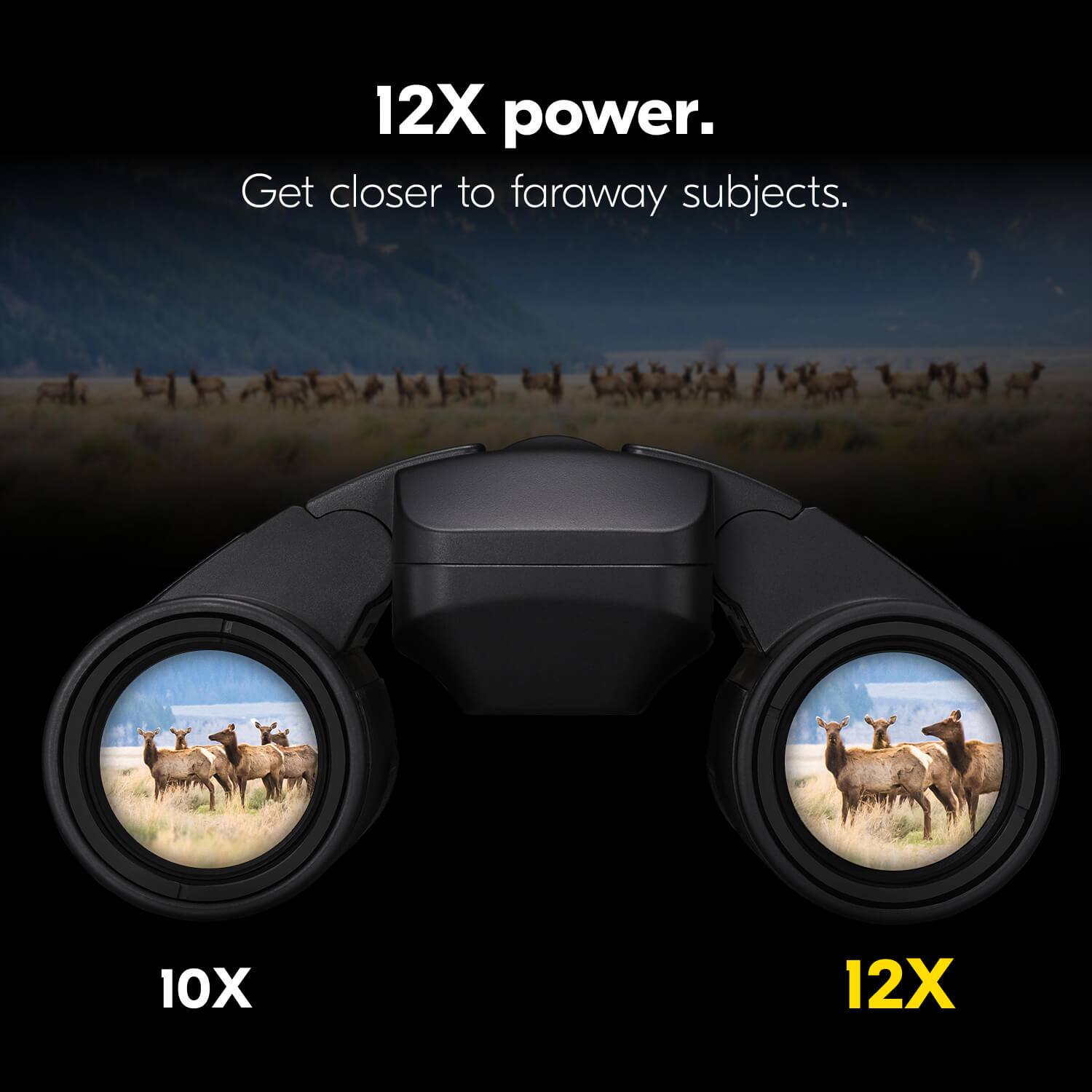 12X power.  
Get closer to faraway subjects.  

10X  
12X