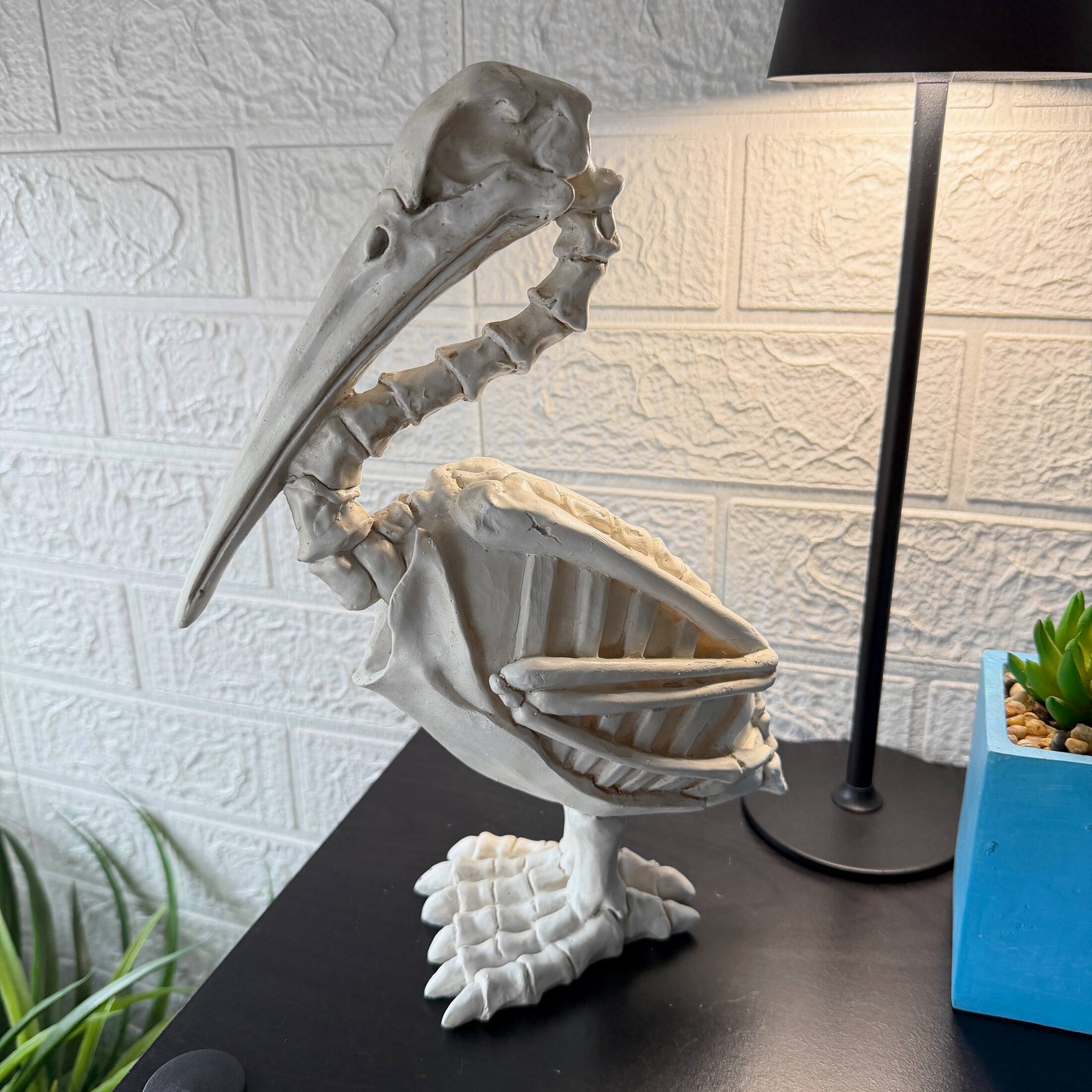 Alt View 3. Fancy That - Pelican Skeleton Statue White Distressed Resin Gothic Tabletop Decor 11.5 Inch - White.