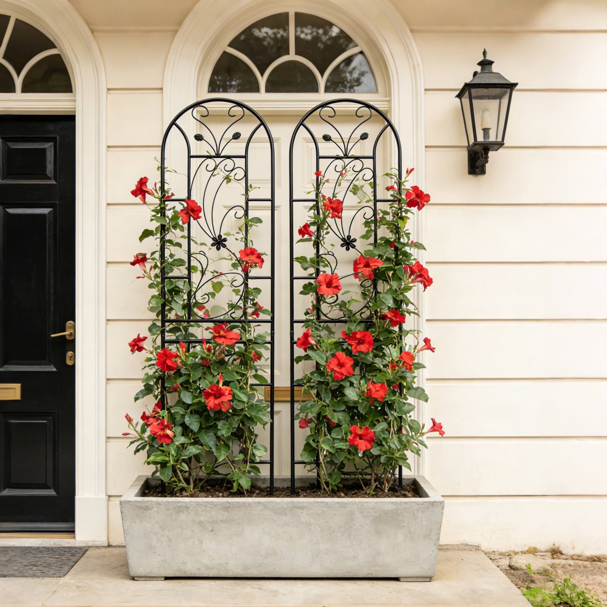 Left. Loheer - 2-Pack Rustproof Metal Garden Trellis 7.2 ft x 1.6 ft, Peacock Style Plant Support - Black.