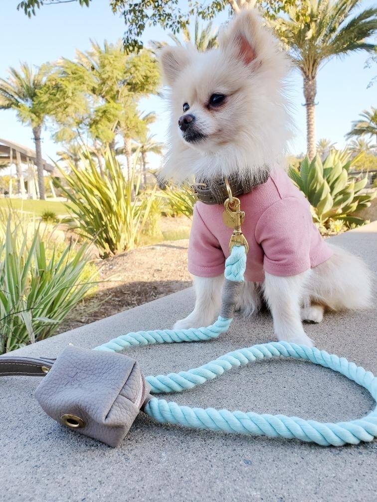 Left. PoisePup - Fancy Handmade Genuine Leather Dog Waste Bag Holder for Girl & Boy Puppies - Gray.