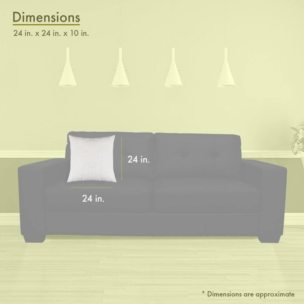 Dimensions  
24 in. x 24 in. x 10 in.  

24 in.  
24 in.  

* Dimensions are approximate