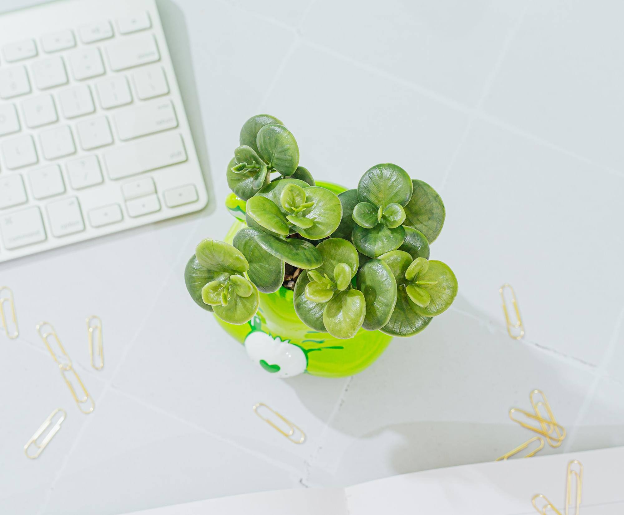 Alt View 5. Silver Buffalo - Care Bears Good Luck Bear 5-Inch Ceramic Mini Planter With Artificial Succulent - Green.