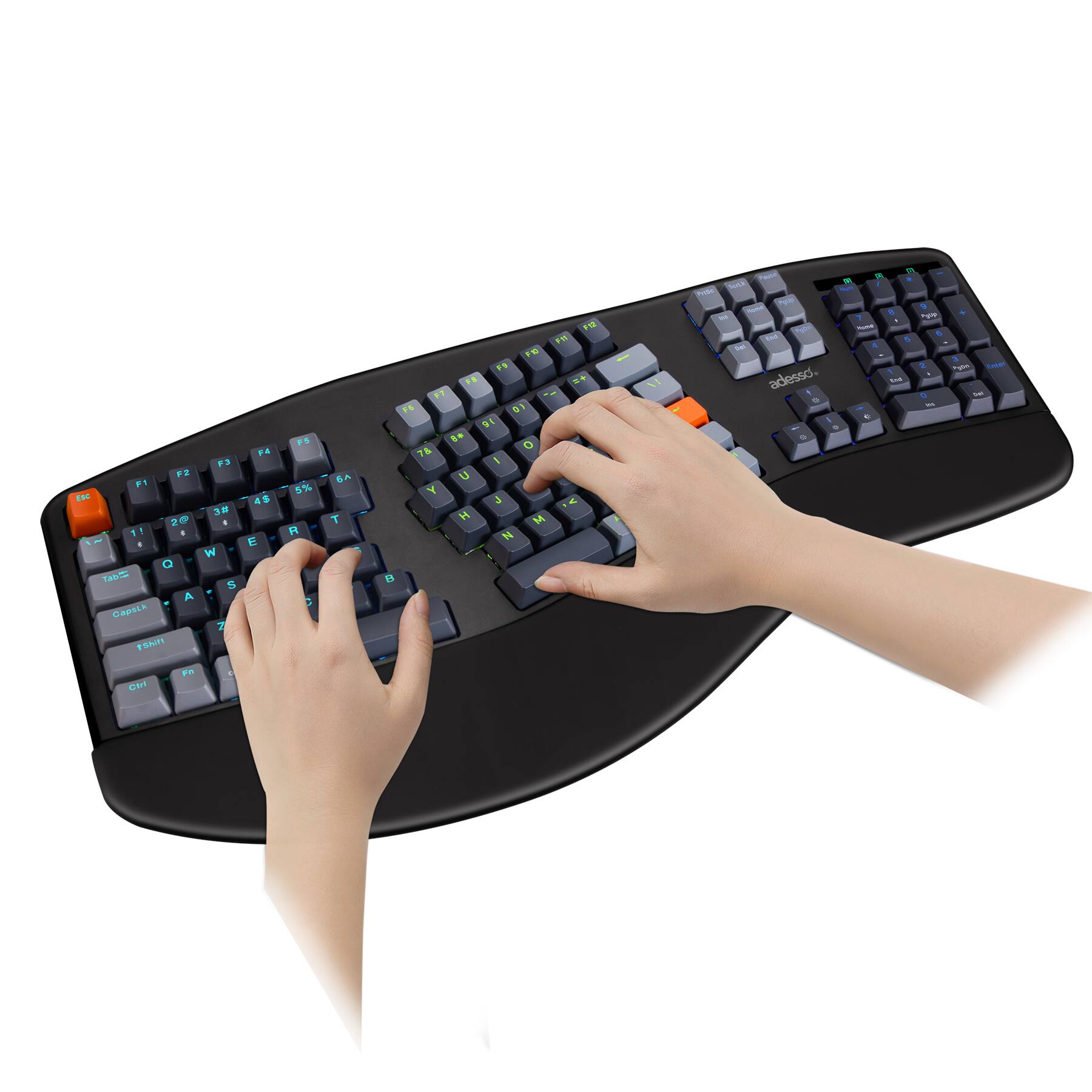 F1, F2, F3, F4, F5, F6, F7, F8, F9, F10, F11, F12, A, S, D, W, E, R, T, Y, U, I, O, P, Q, L, K, J, H, G, Z, X, C, V, B, N, M