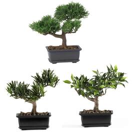 BreeBe - 8.5" Bonsai Silk Plant Collection (Set of 3) - Green