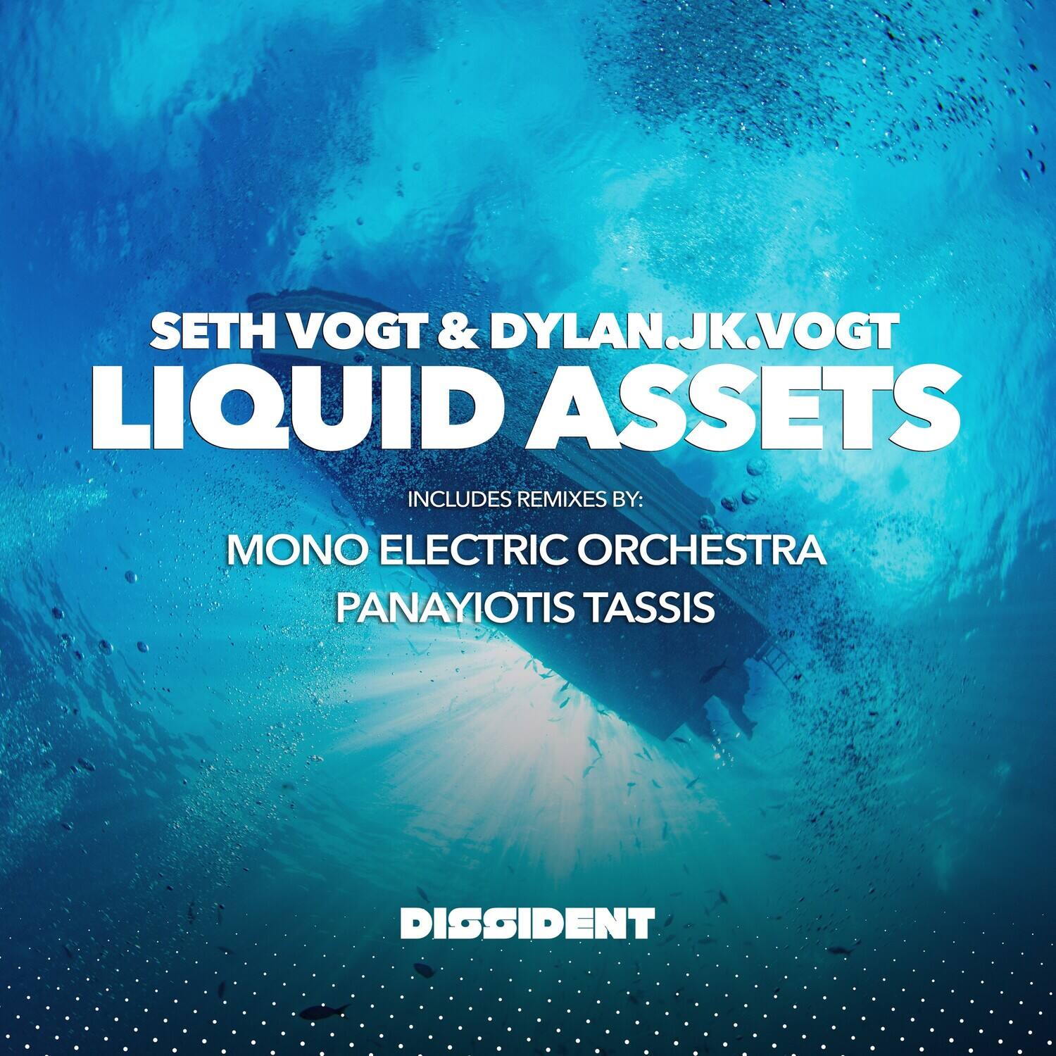 Vogt,Seth & Dylan.Jk.Vogt - Liquid Assets   - COMPACT DISCS [CD]