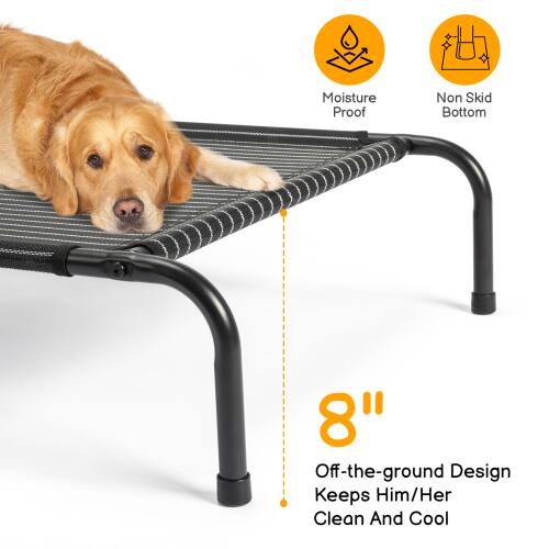 Moisture Proof Non Skid Bottom 8" Off-the-ground Design Keeps Him/Her Clean And Cool