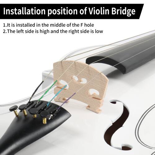 Installation position of Violin Bridge

1. It is installed in the middle of the F hole
2. The left side is high and the right side is low