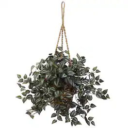 BreeBe - 20" Wandering Jew Hanging Basket - Green