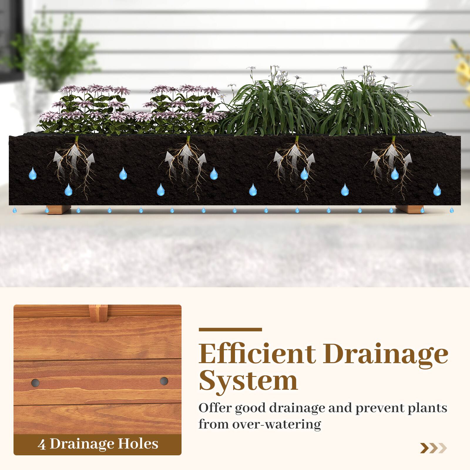 Efficient Drainage System  
Offer good drainage and prevent plants from over-watering  

4 Drainage Holes