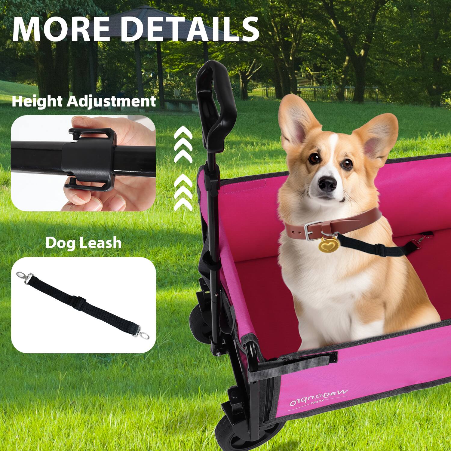 MORE DETAILS

Height Adjustment

Dog Leash