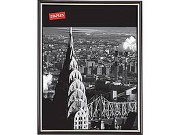 Staples - EZ Mount 8.5" x 11" Plastic Picture Frames, Black - Black with Gold