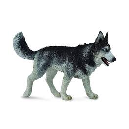Breyer Animal Creations - CollectA Cats & Dogs Collection Miniature Figure | Siberian Husky - Gray