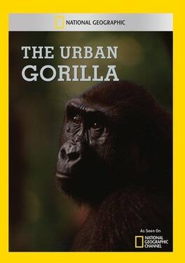 The Urban Gorilla - DVD