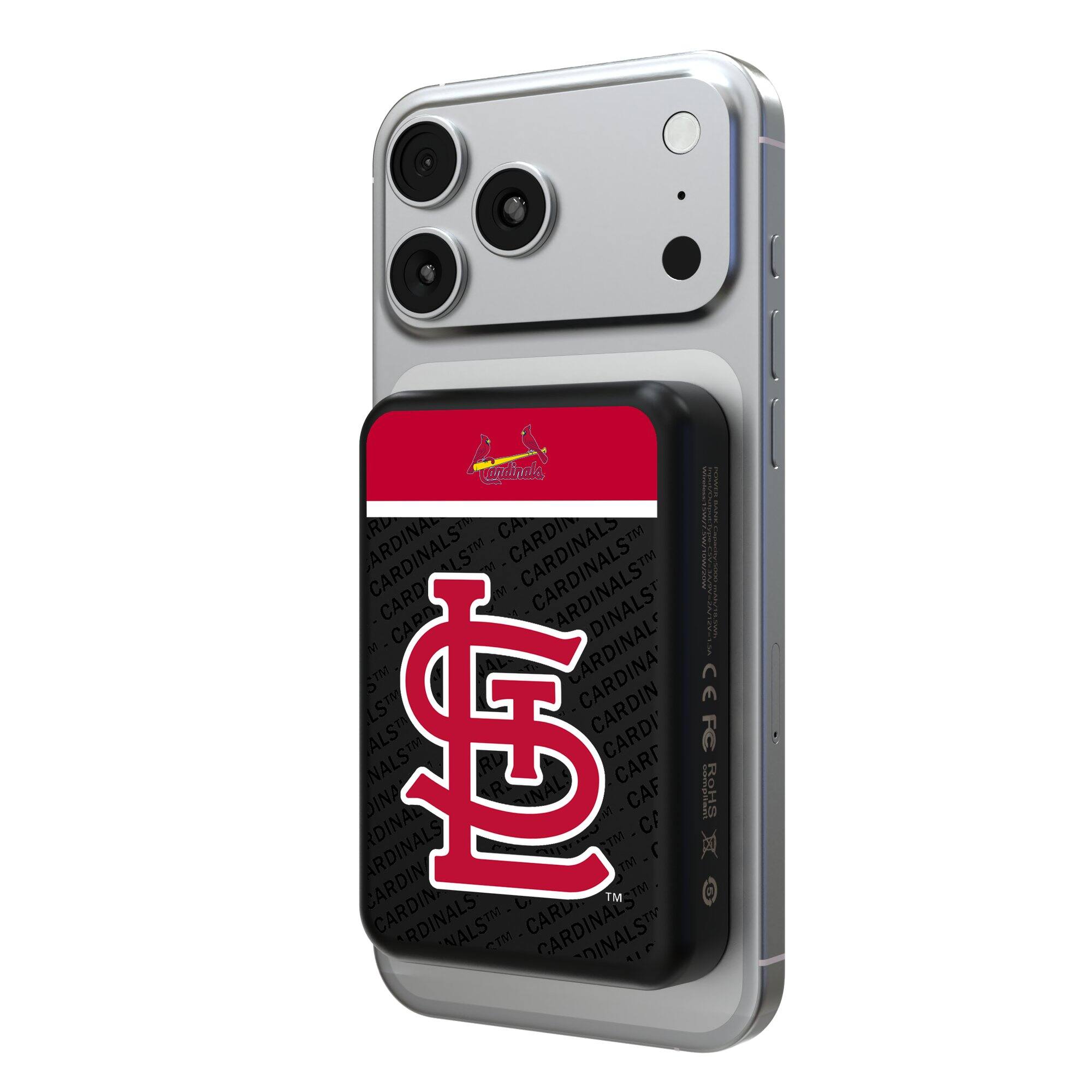 Keyscaper - Endzone Plus Wireless Power Bank - Multicolor