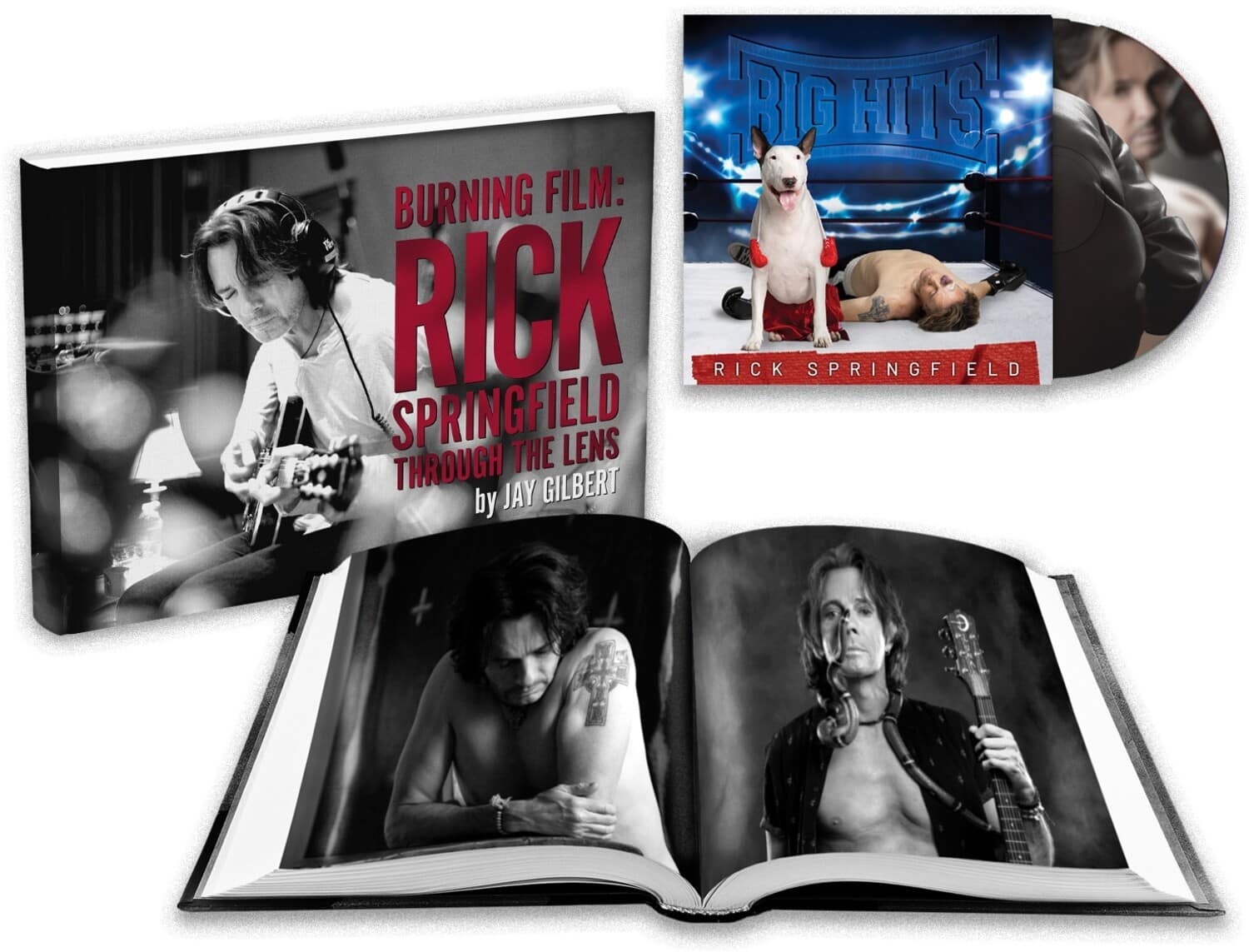 Rick Springfield - Big Hits: Rick Springfield's Greatest Hits, Vol. 2 - Special Edition   - COMPACT DISCS [CD] price history on PriceWatchPro