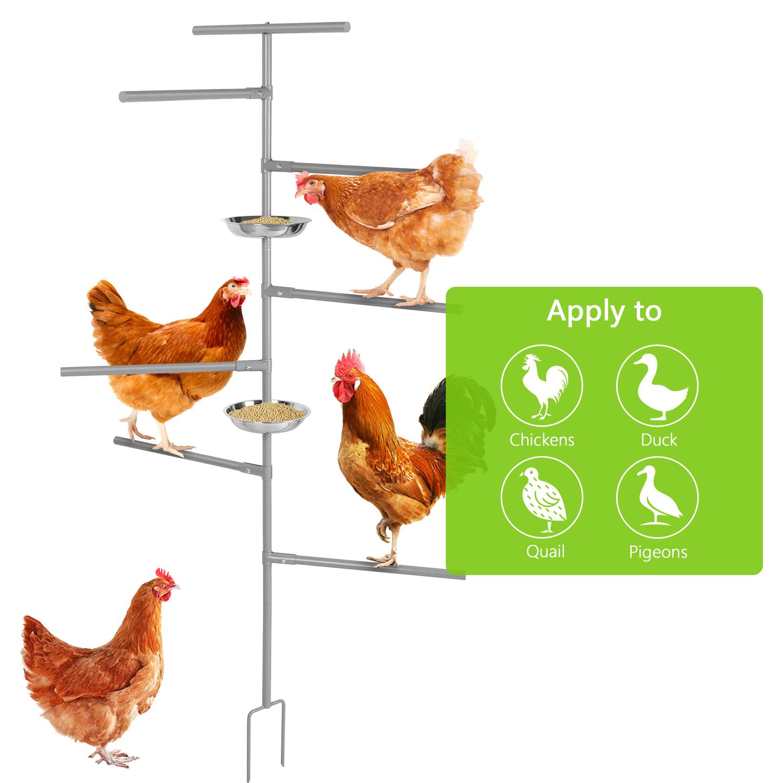 Apply to Chickens Duck Quail Pigeons