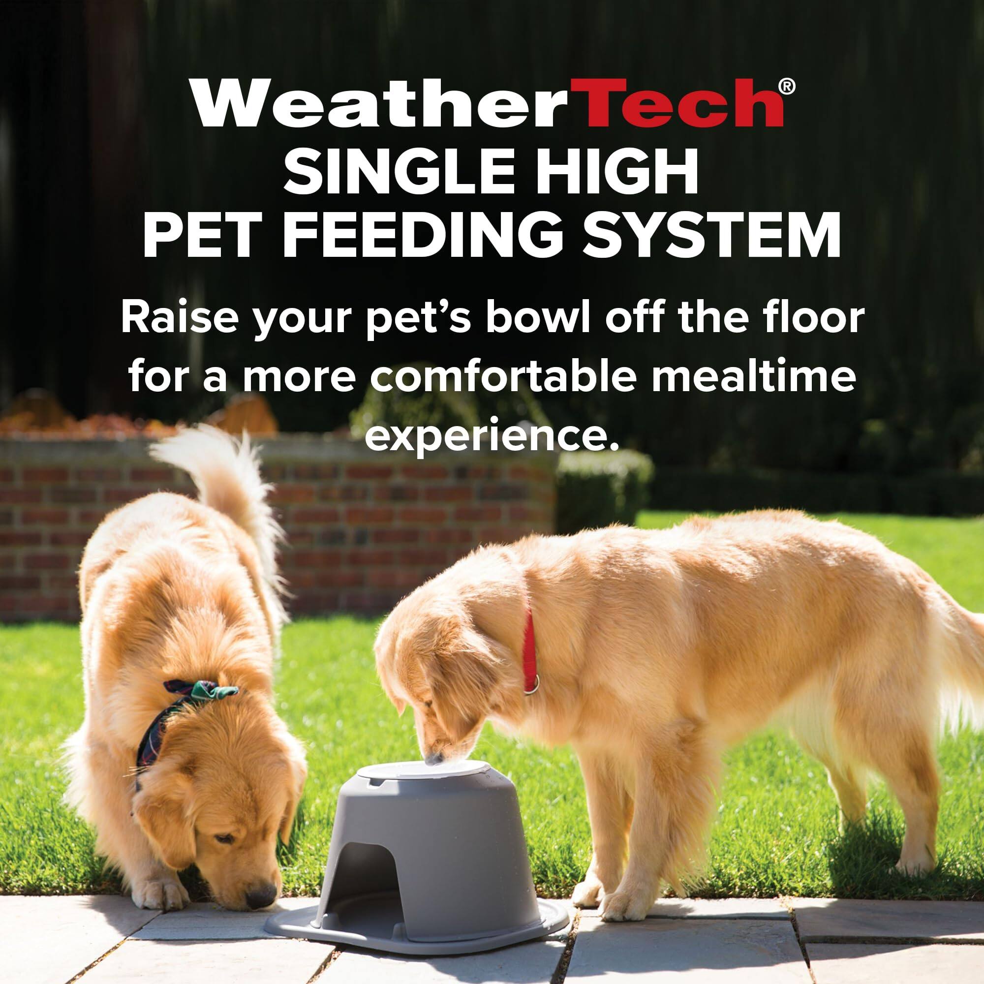 WeatherTech® SINGLE HIGH PET FEEDING SYSTEM  
Raise your pet's bowl off the floor for a more comfortable mealtime experience.