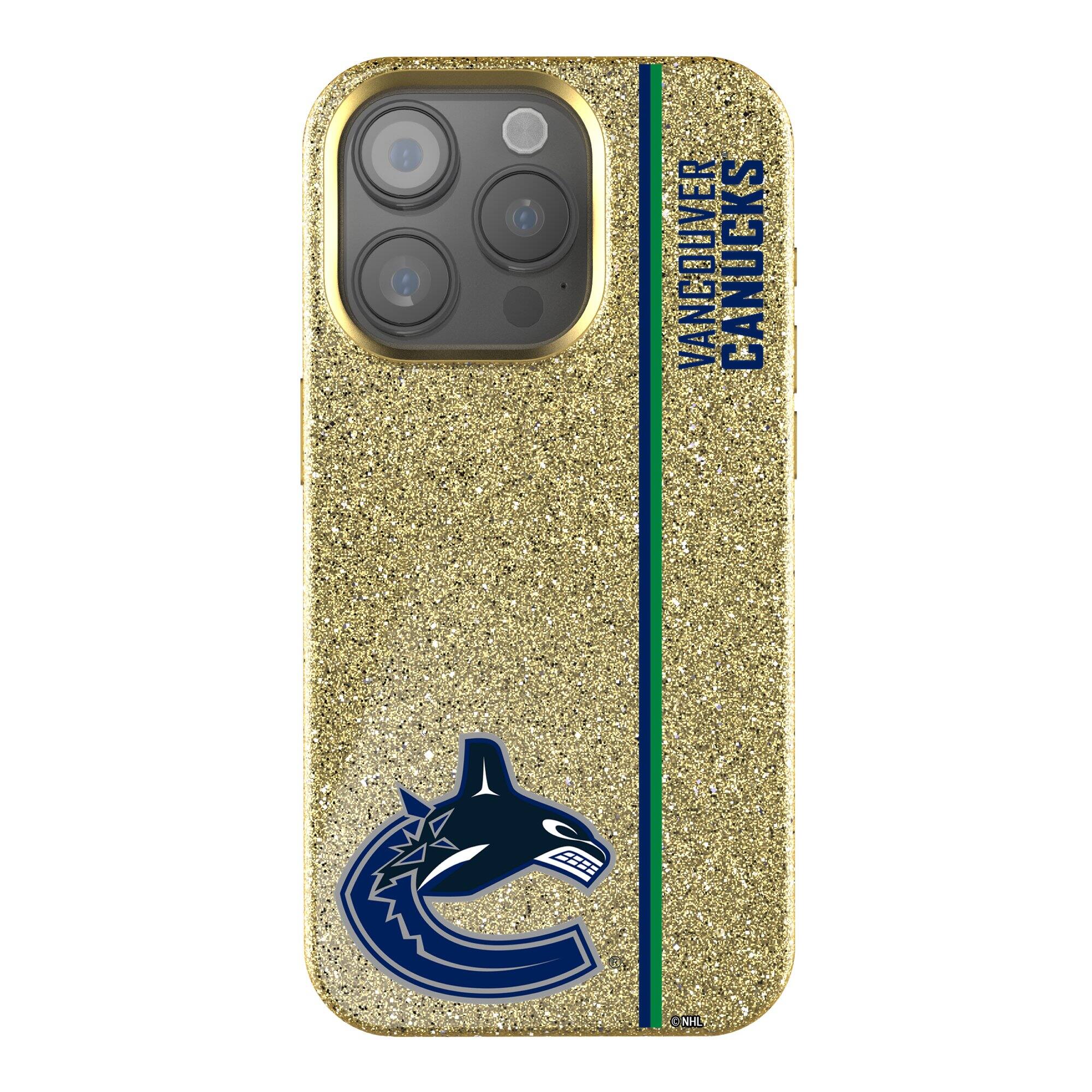 VANCOUVER CANUCKS  
NHL