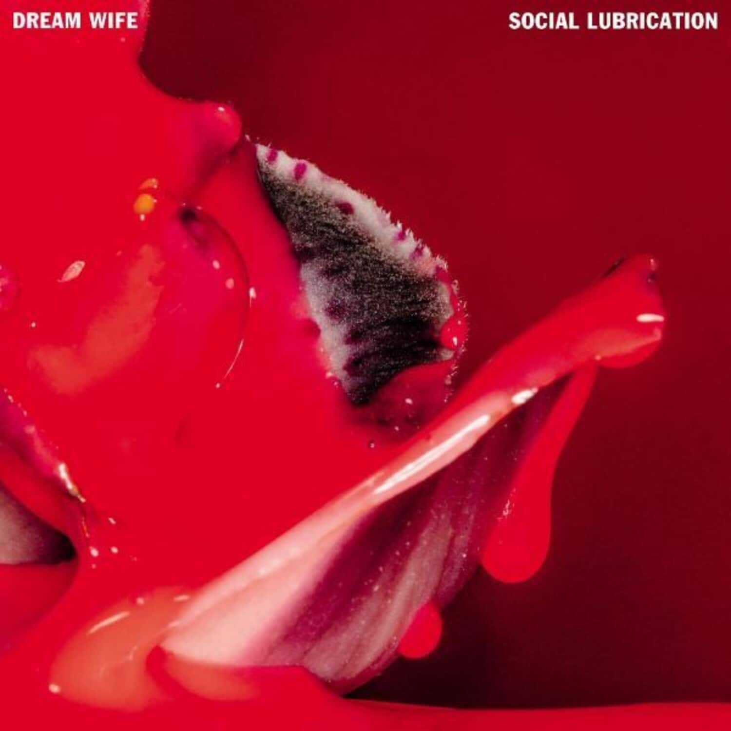 Dream Wife - Social Lubrication   - COMPACT DISCS [CD] price history on PriceWatchPro