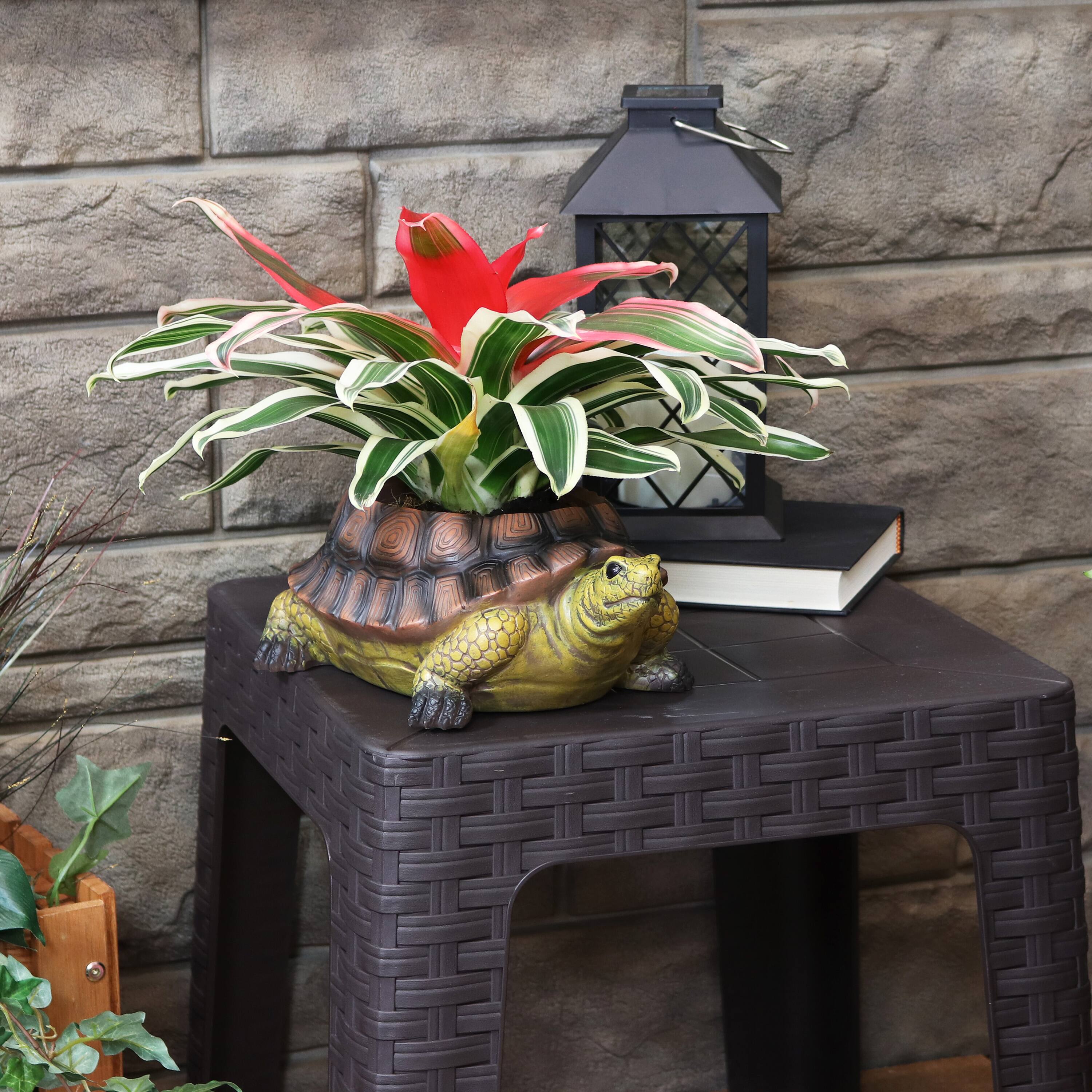 Alt View 3. Sunnydaze - Teddy the Tortoise 11 in Polyresin Outdoor Garden Planter - Green.