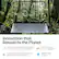 Innovation that Respects the Planet
Top cover, base, keyboard deck and hinge caps contain recycled metal materials
Incorporates ocean-bound plastic and post-consumer recycled plastics
EPEAT® Silver with Climate+ registered
ENERGY STAR® Certified