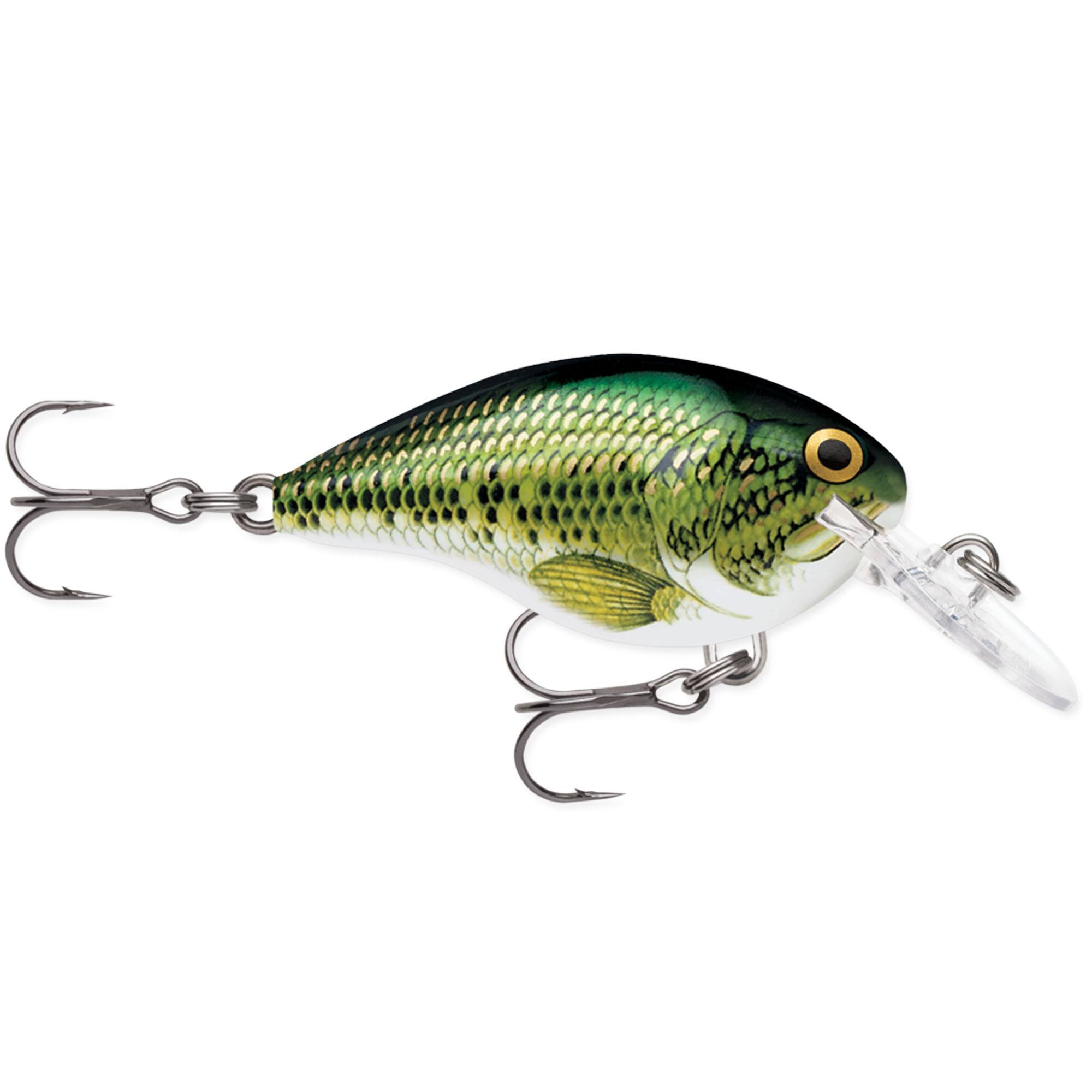 Baby Bass