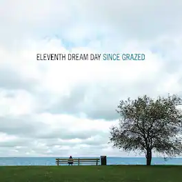 Eleventh Dream Day - Since Grazed - VINYL LP