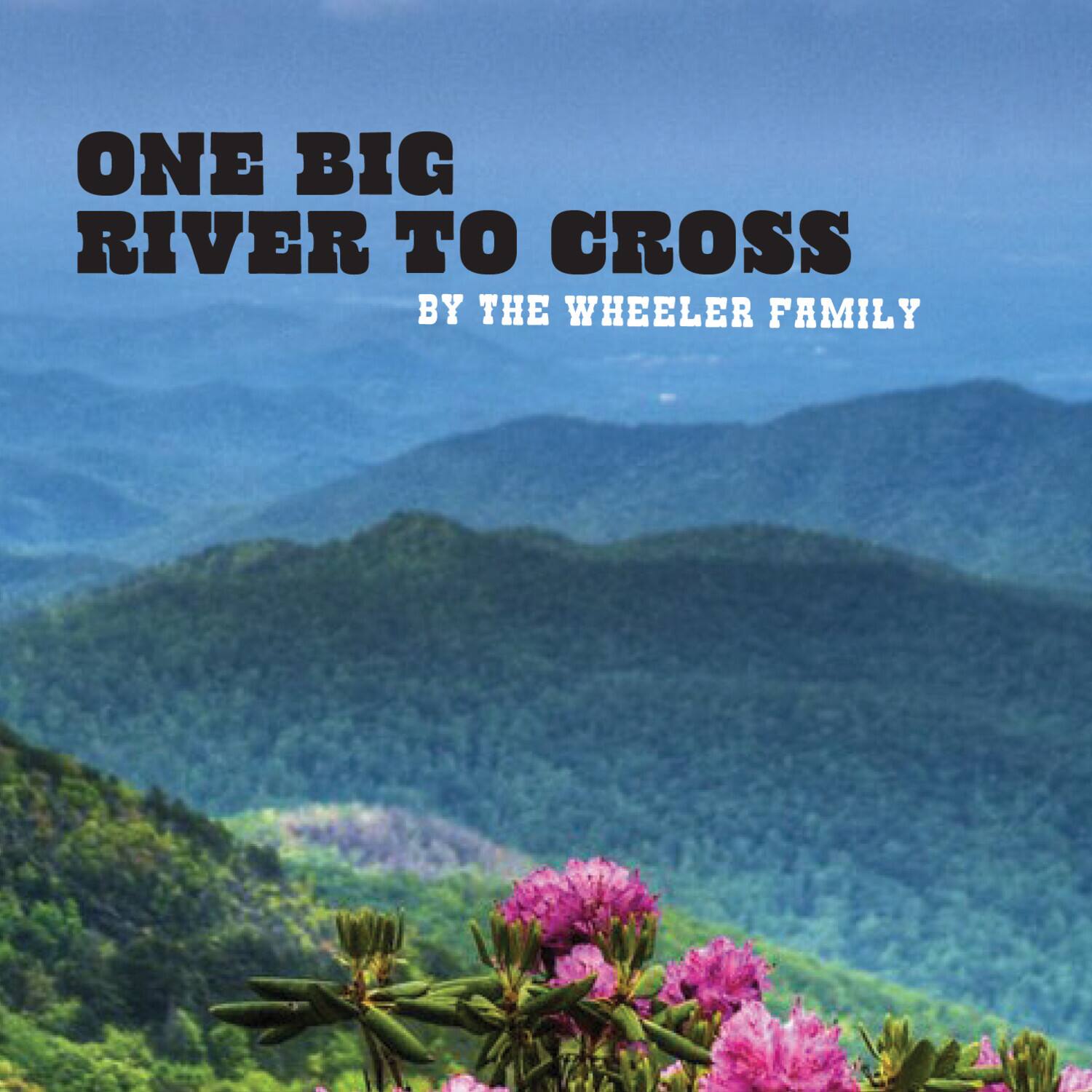 Wheeler Family - One Big River to Cross   - COMPACT DISCS [CD]