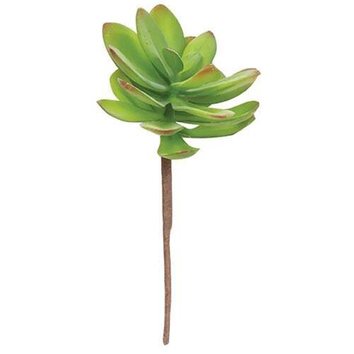 Front. BreeBe - Torch Succulent Pick - Green.