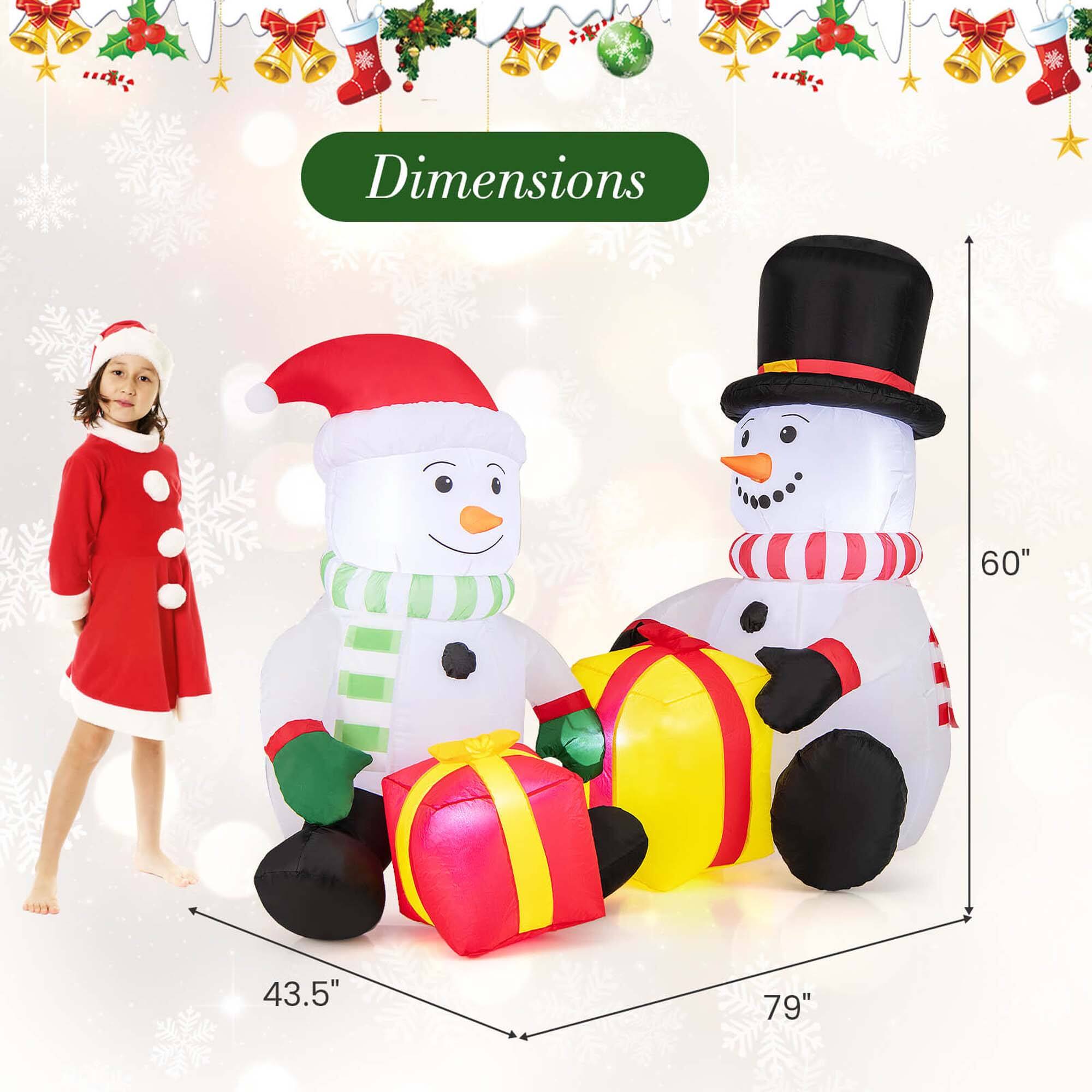 The dimensions are 60" (height), 43.5" (width), and 79" (length).
