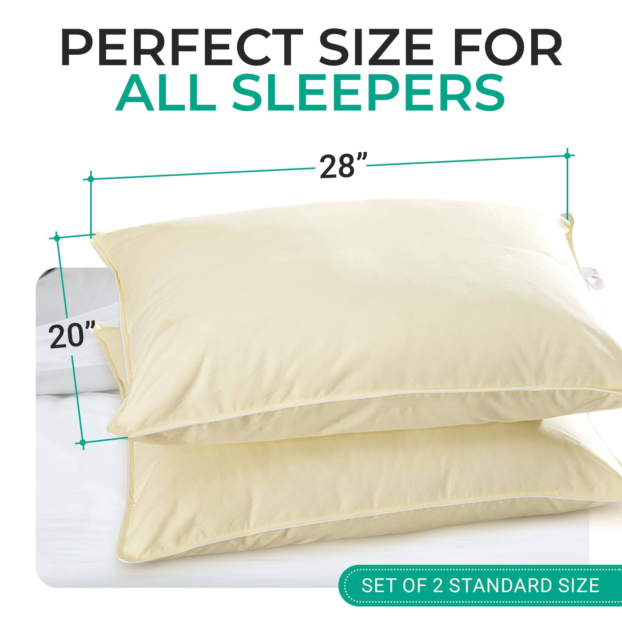 PERFECT SIZE FOR ALL SLEEPERS

28"
20"

SET OF 2 STANDARD SIZE
